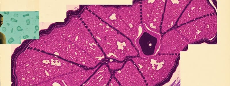 Tissue Types Quiz - Histology Basics