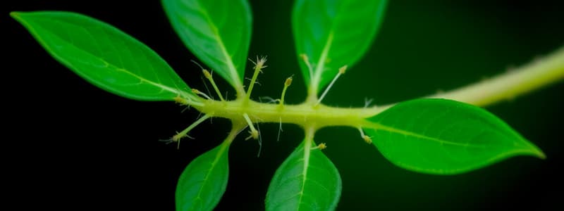 Plant Growth and Development