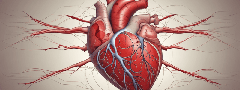 Cardiac Physiology