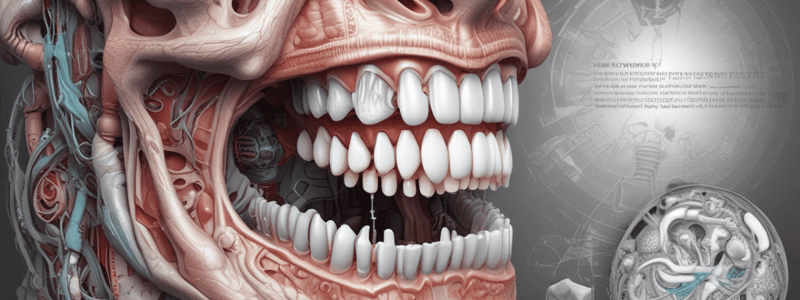 Morphogenic Stage in Tooth Development