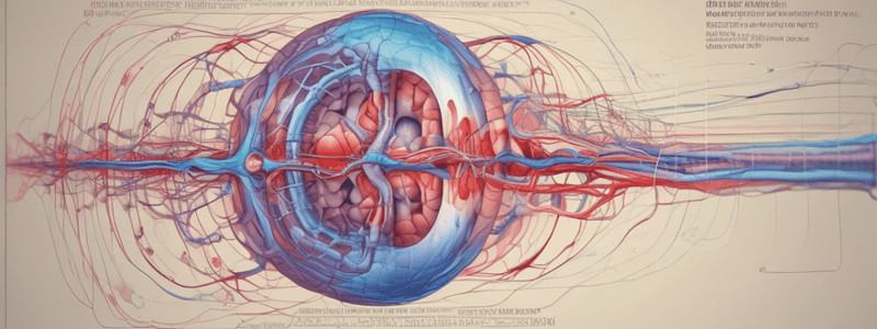 Perfusion Pathophysiology: Understanding Blood Flow in the Body