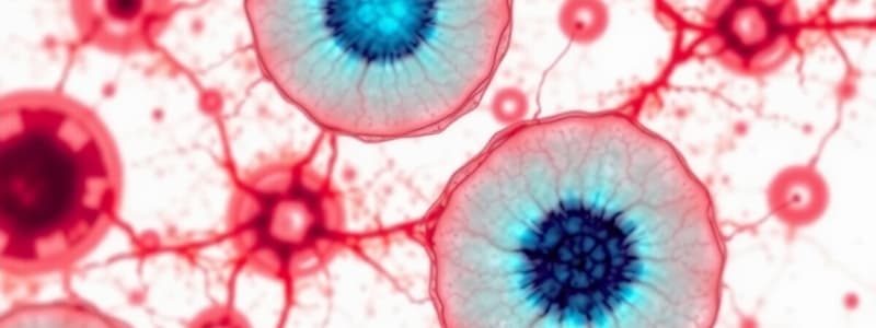 Hematology PB Smears and Plasma Cells