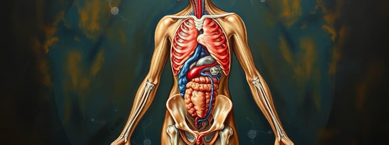 Human Body Systems Overview