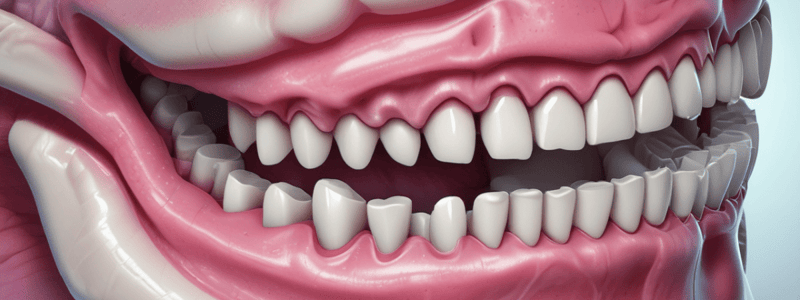 Dental Pulp: Oral Histology