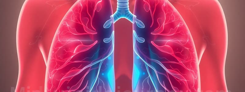 Biology Chapter 23: The Respiratory System