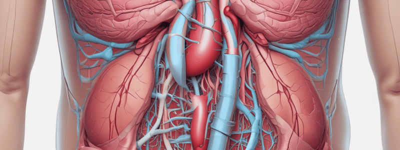 Ninja Nerd - Circulatory System | Pancreas Circulation Model