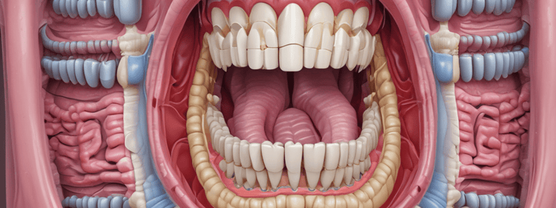 Overview of Digestive System and Teeth Anatomy Quiz