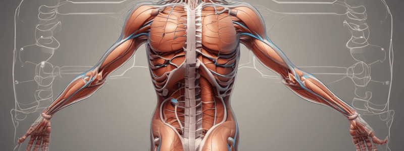 Human Body Systems Interactions