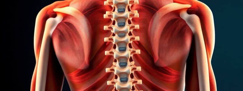 Spinal Deformities Overview