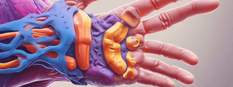 Rheumatoid Arthritis: Pathophysiology, Diagnostic Tests, and Treatment Approach