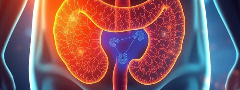 Bladder and Kidney Function Quiz