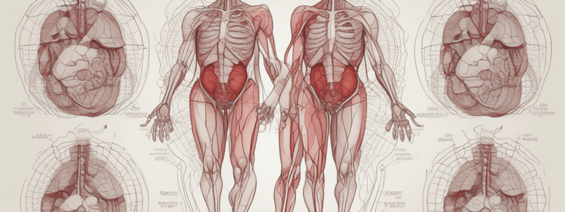 Heart Anatomy Quiz