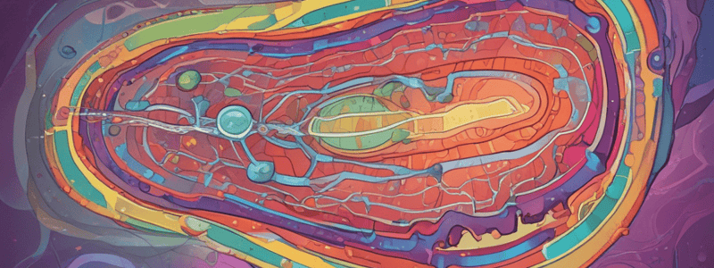 Mitochondrial Protein Transport