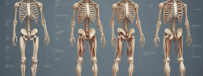 Musculoskeletal Assessment Quiz