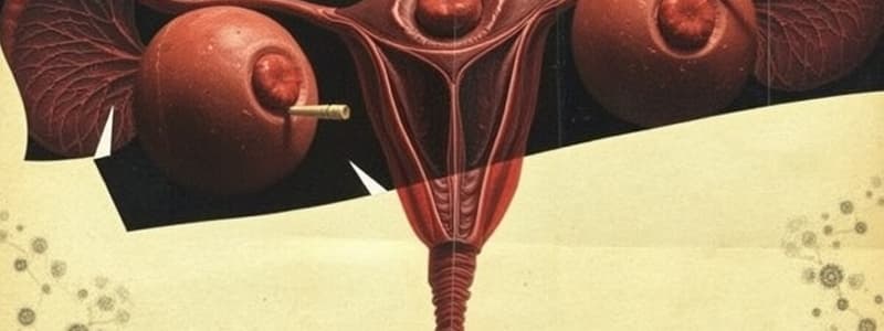 The Reproductive System: Gonads and Development