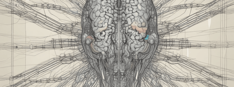 intro to neuroanatomy