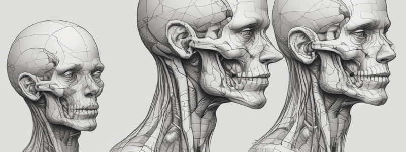 Anatomy of Head and Neck Veins