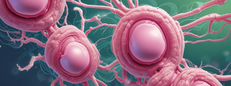 Repro 1: Gametogenesis and Sex Differentiation