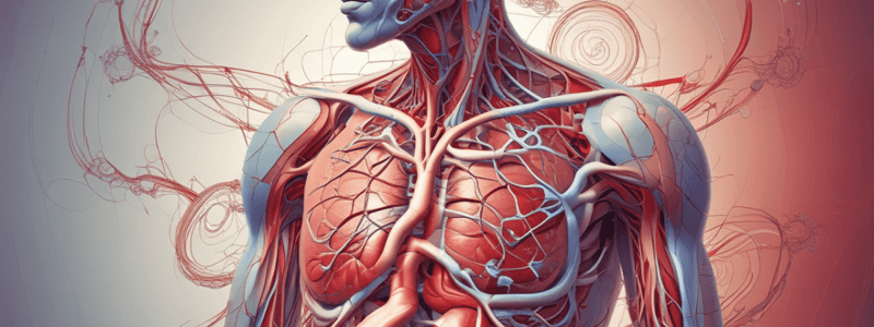 Physiology of Blood Flow Control