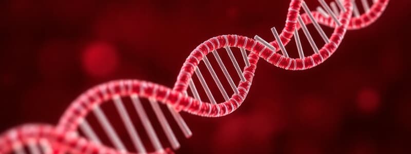 Trascrizione e Traduzione del DNA