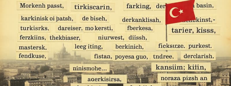 Turkish Language Basics