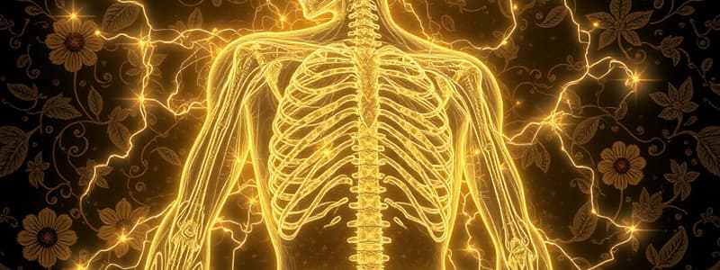 Musculoskeletal & Nervous System Overview