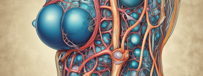 Lymphatic System and Fluid Management