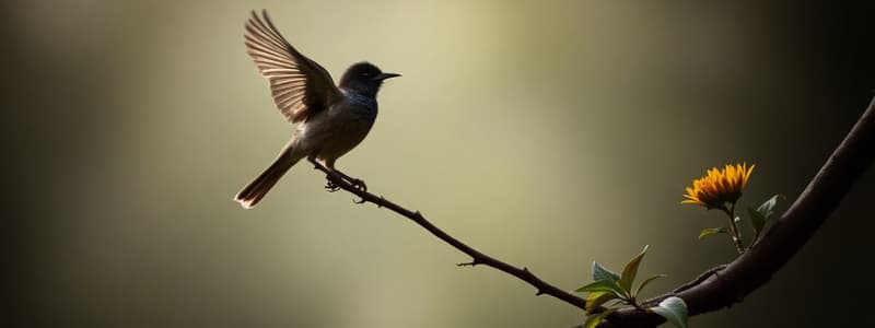 Caged Bird by Maya Angelou Quiz