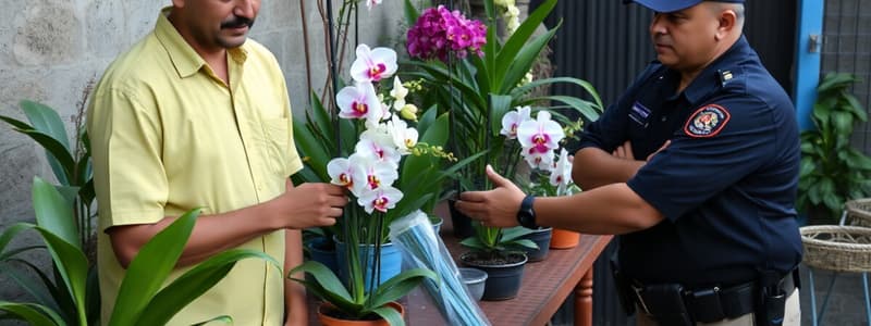 Max's Experience with Ahmed's Orchid Care