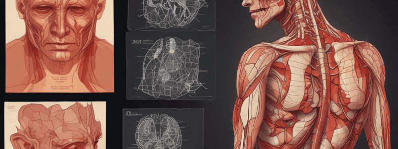 Burn Injuries and Skin Anatomy