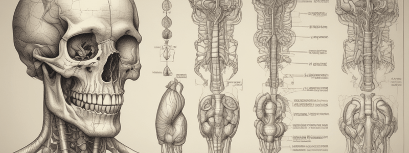 DIGESTIVE SYSTEM