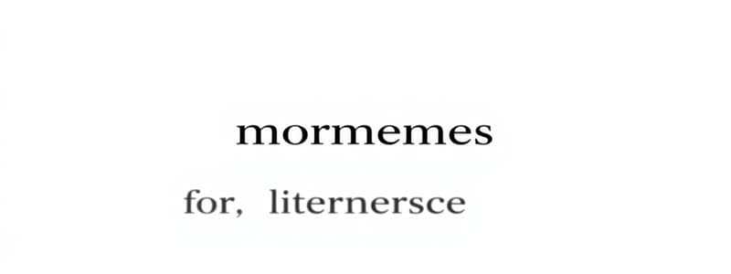 Morphèmes et leurs types