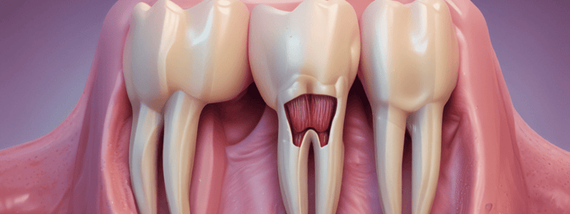 Dental Pulp