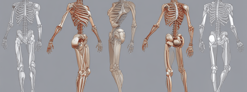 Biomechanics of Gait Stage 1 and 2