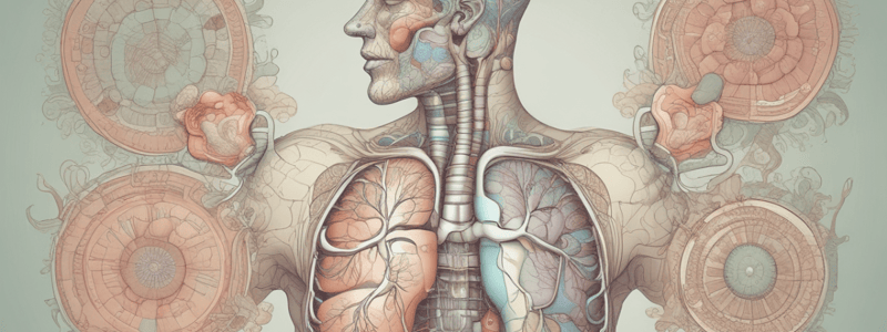 Accessory Muscles of Respiration