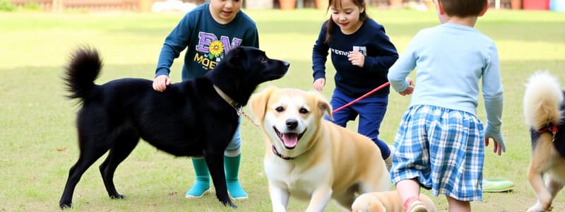 Hunde und Kinder: Spielzeit im Freien