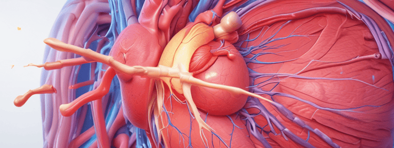 L12 Cardiac Muscle Properties and Functions