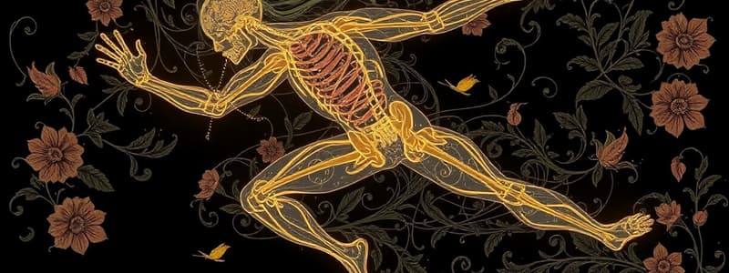 Kinematic Chains and Muscle Force Generation