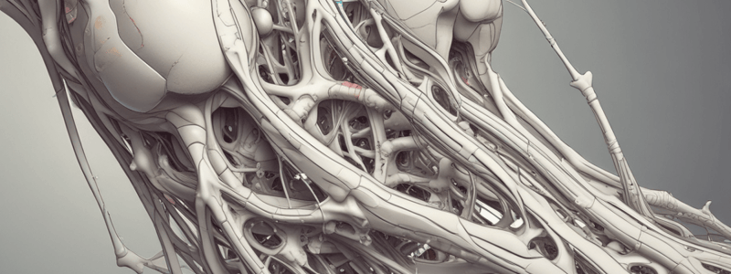 Medical Biology: Bone Structure and Functions