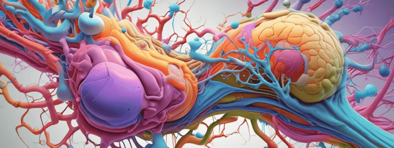 Receptor Types and Responses Quiz