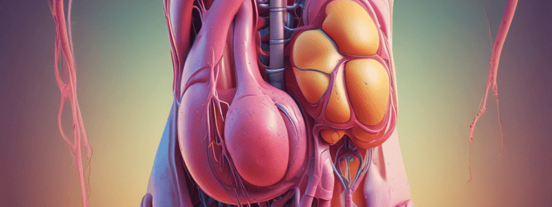 Urinary System: Physical Characteristics of Urine