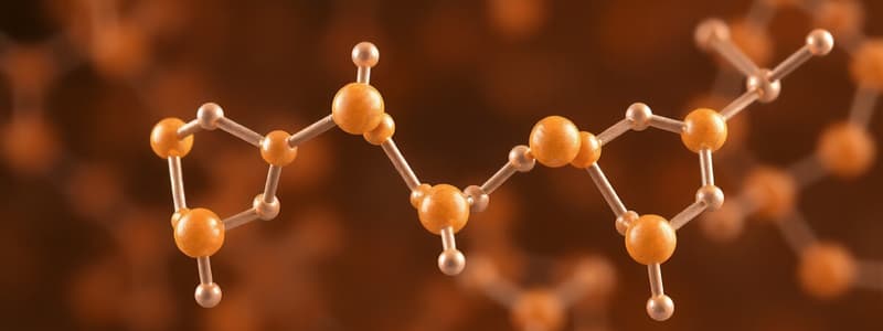 Understanding Amino Acids