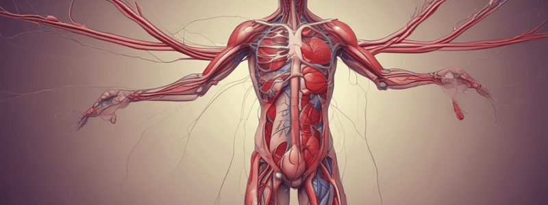 Circulatory Systems: Venous Return and Blood Vessels