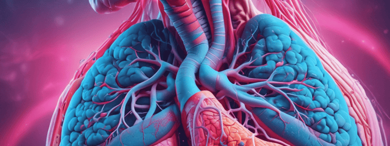 Lung Abscess Overview