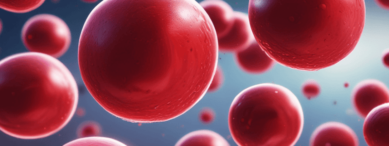 Anaemia: Types and Causes