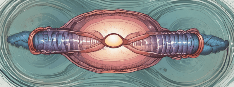 Errors in Meiosis and Chromosome Alterations Quiz