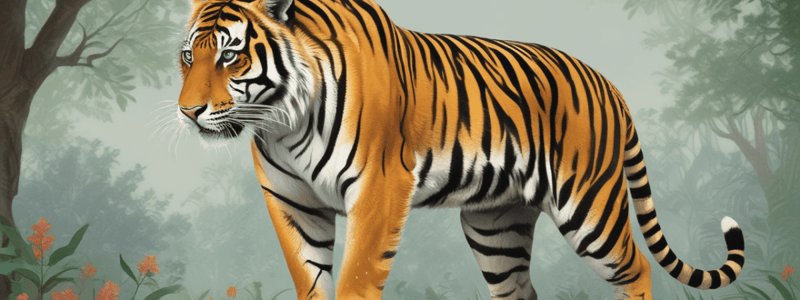 Parenting Styles and the Tiger Mom Controversy