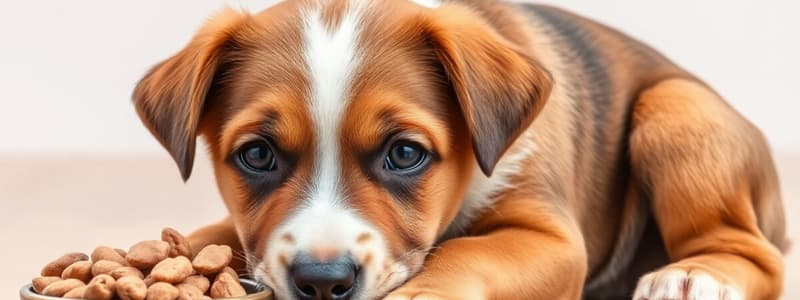 Puppy Care and Nutrition Quiz