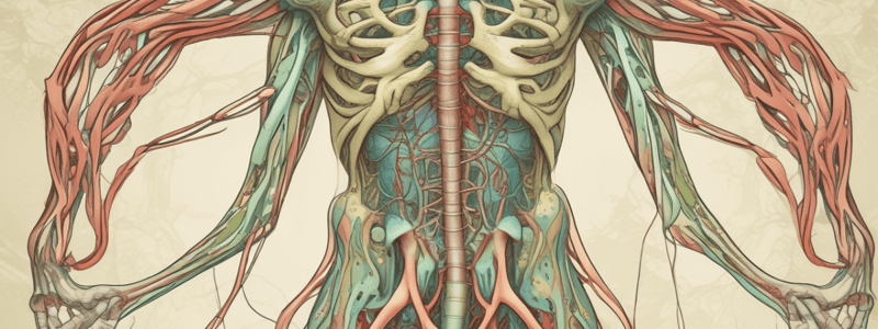 Lecture 9 Lymphatic System A+P2