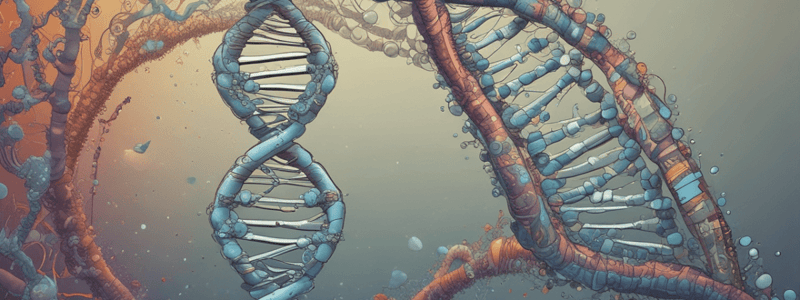 Understanding Human DNA and the Code of Life Quiz